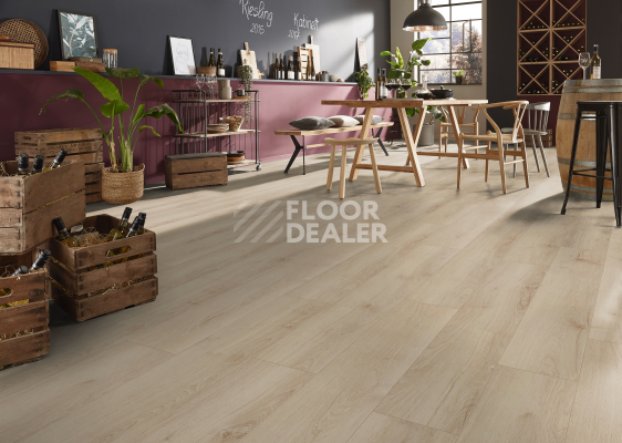 Ламинат Kronotex Exquisit 8мм d80922 Дуб Бельведер фото 4 | FLOORDEALER